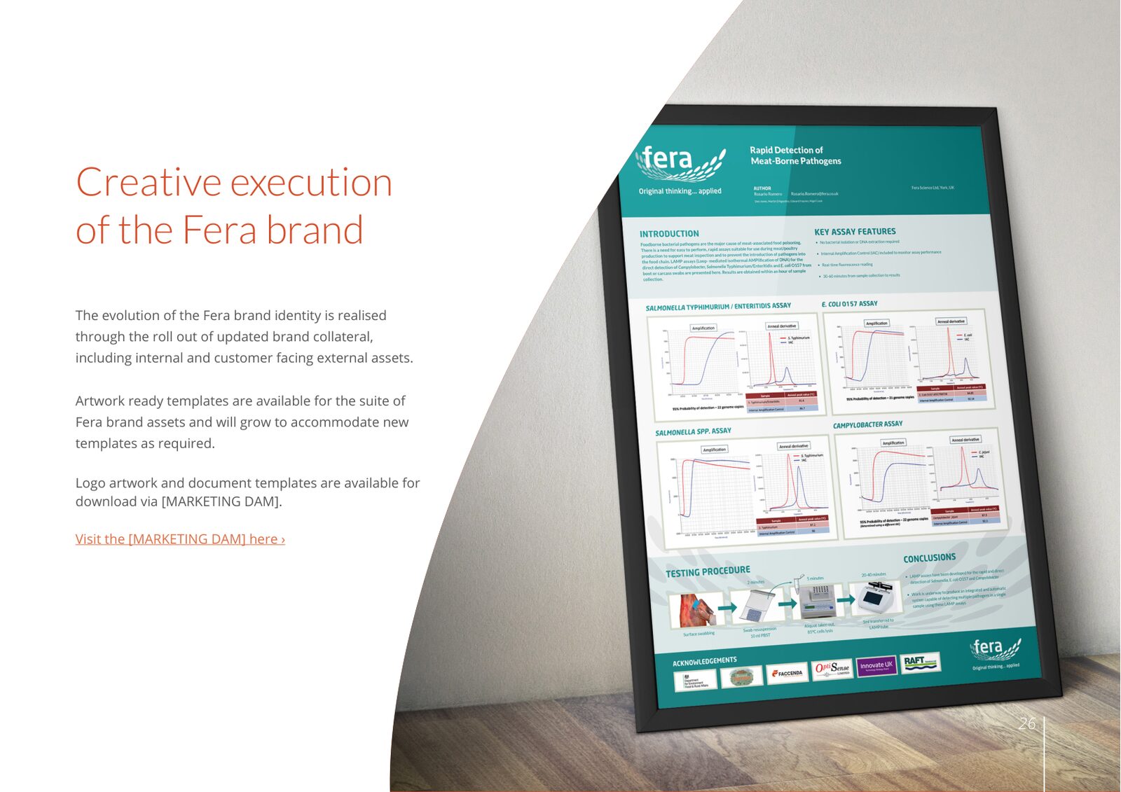Fera brand manual: creative execution