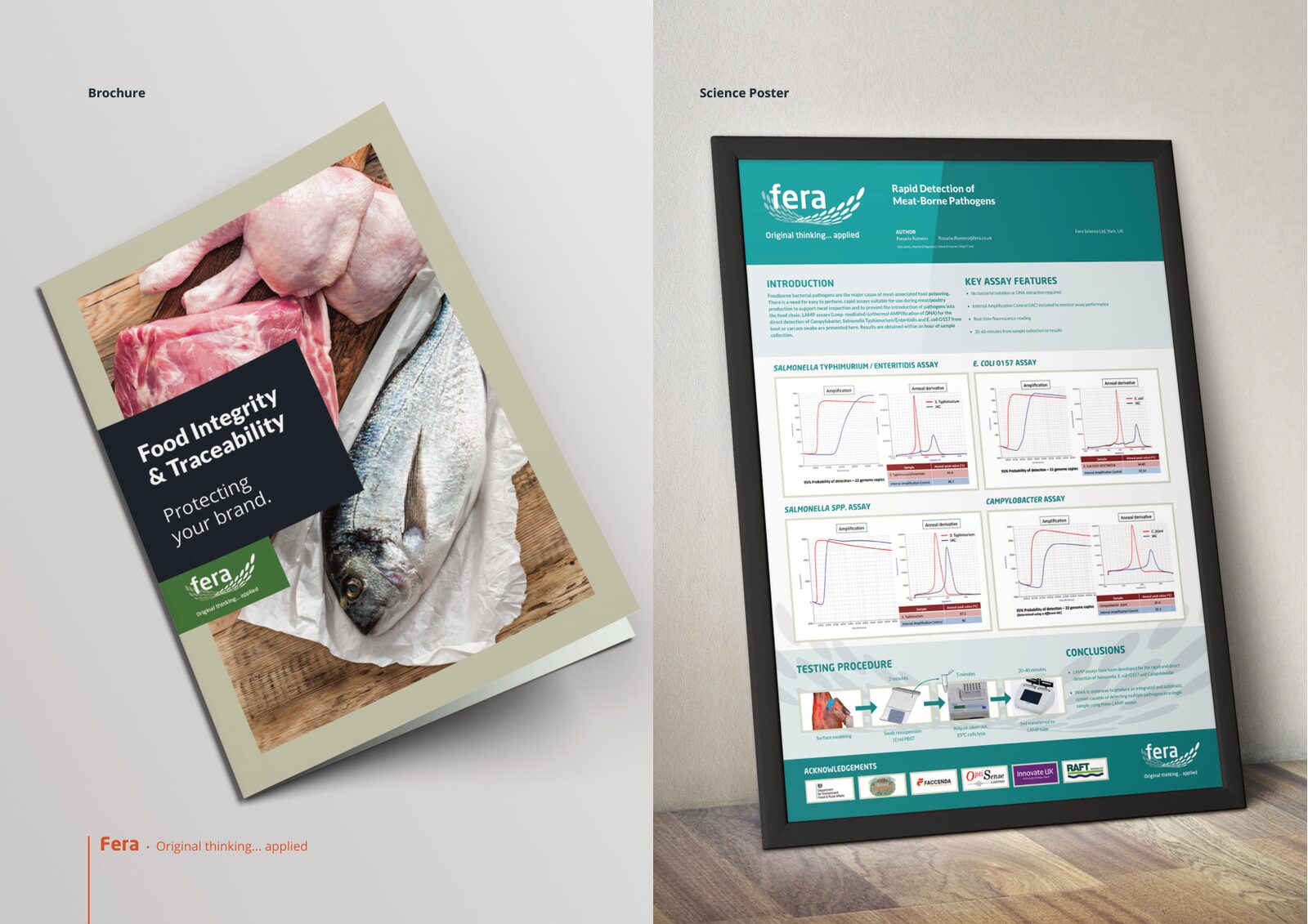 Fera roll-up banner, brochure and science poster