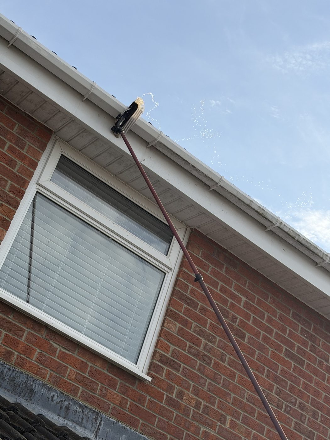 Gutters and fascias cleaned with a reach-and-wash pole