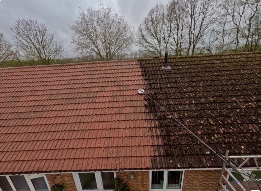 Roof half cleaned with a soft wash, showing moss removed