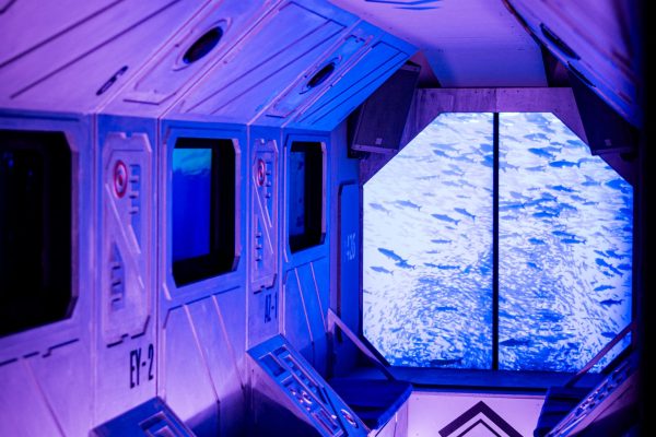 Dive into the Blue - image 9