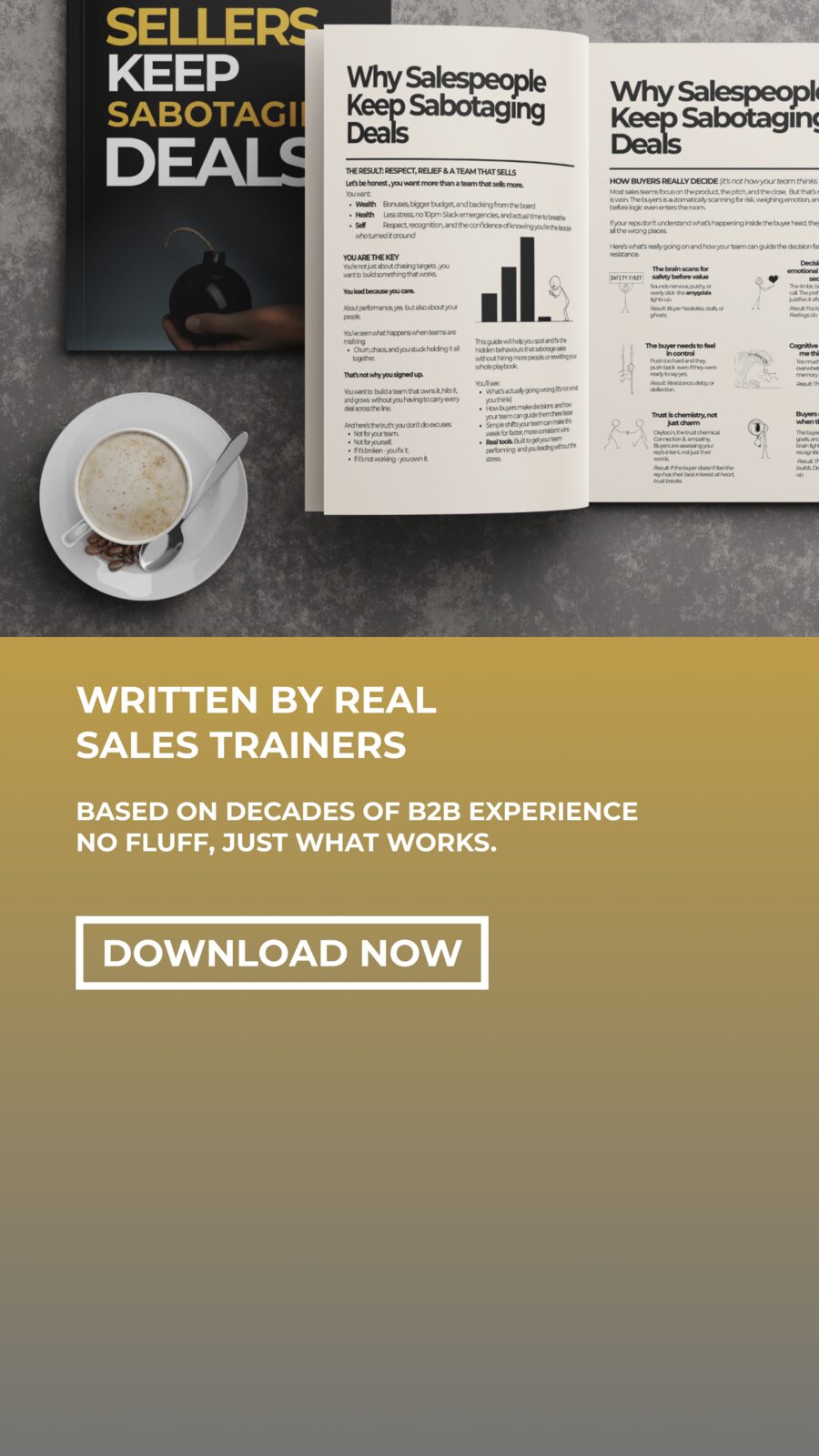 Next Level Selling vertical guide download ad
