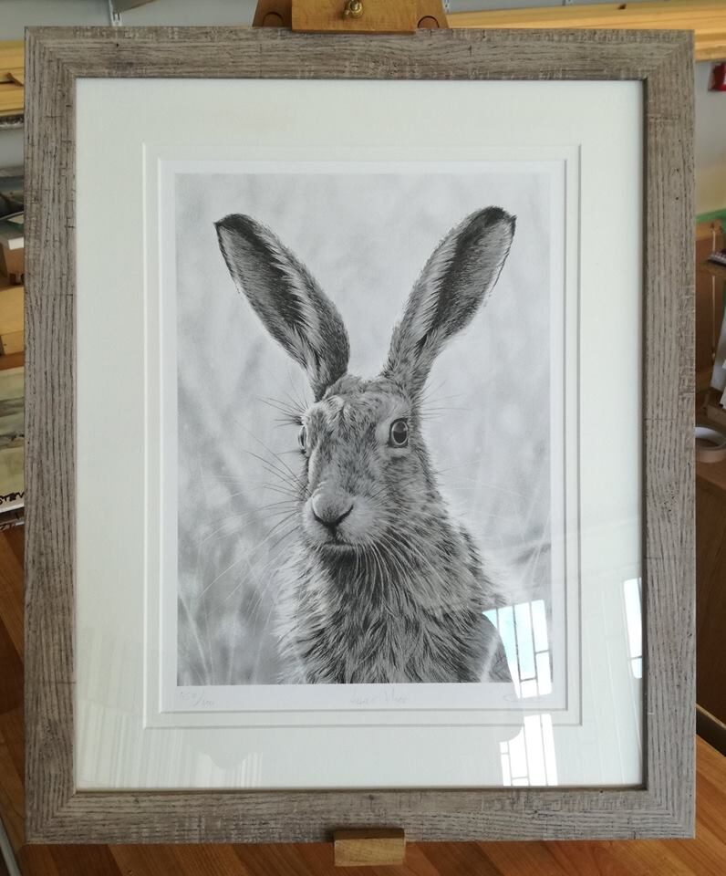 Hare drawing in a pale wood frame with a double mount