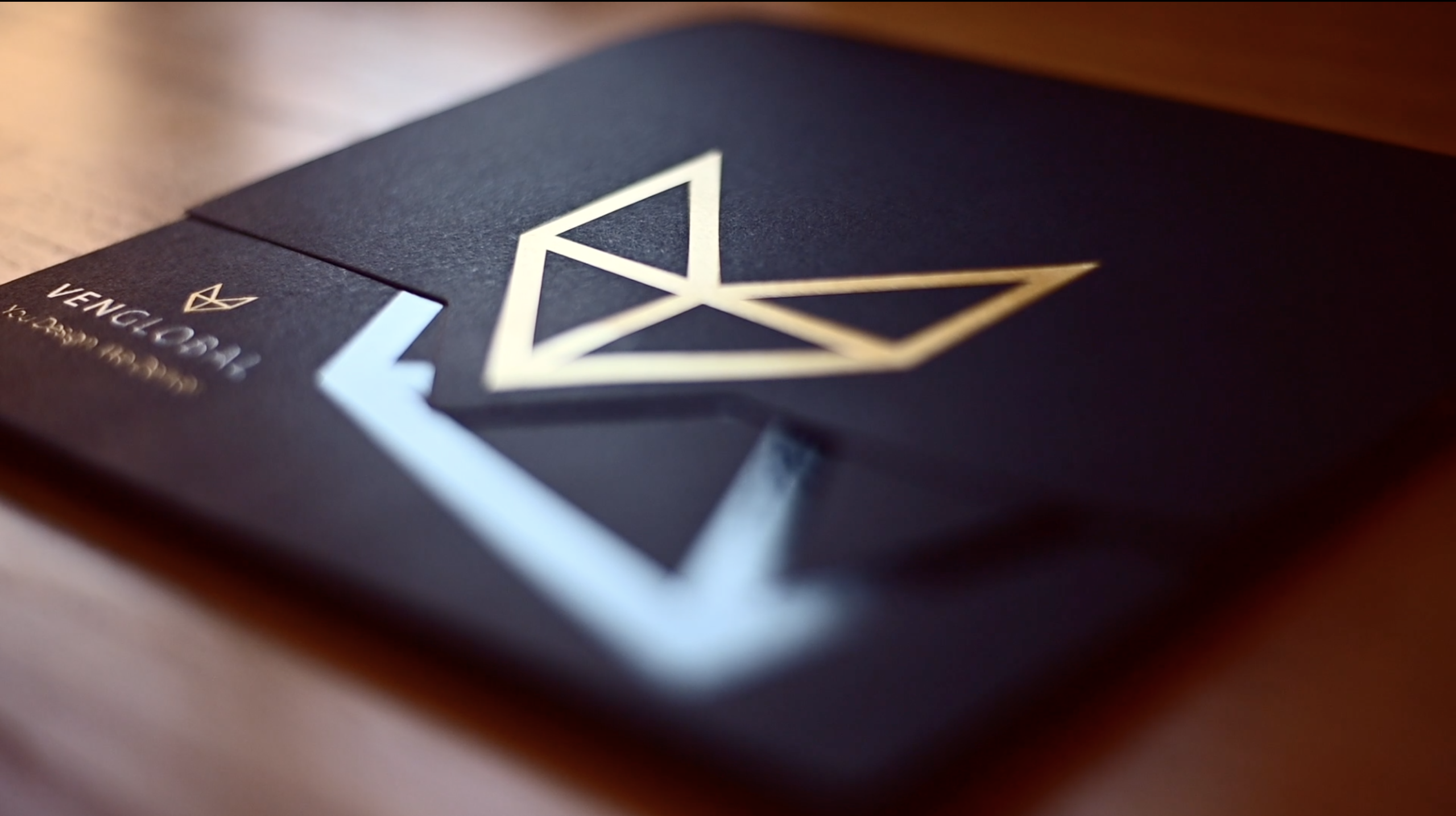 VEN Global brochure packaging