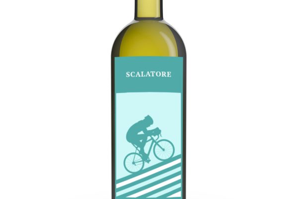 Vino Veloce Cycling Wine - image 4